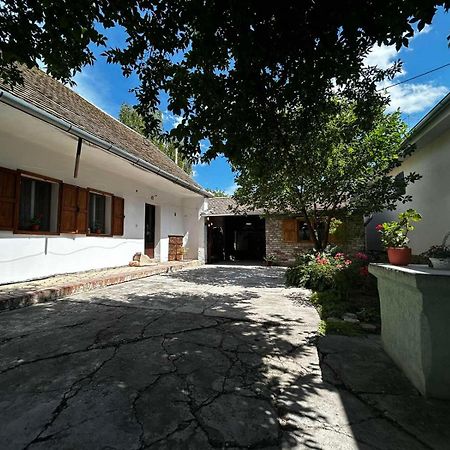 Oaza Mira Porodicna Kuca Za Opustanje Vila Apatin Exterior foto