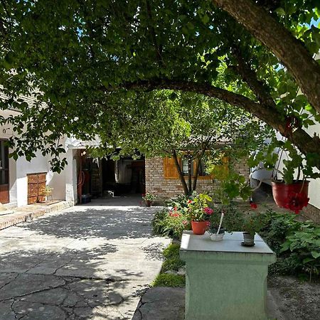 Oaza Mira Porodicna Kuca Za Opustanje Vila Apatin Exterior foto
