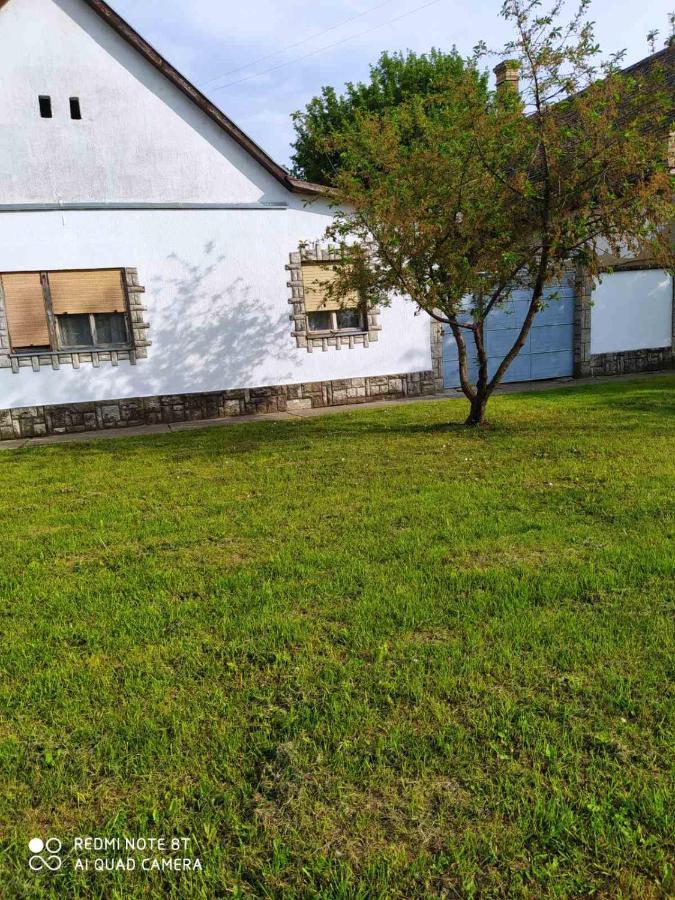 Oaza Mira Porodicna Kuca Za Opustanje Vila Apatin Exterior foto