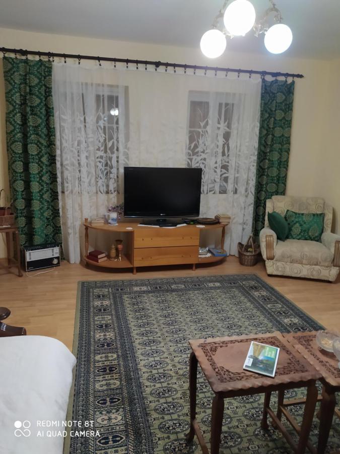 Oaza Mira Porodicna Kuca Za Opustanje Vila Apatin Exterior foto