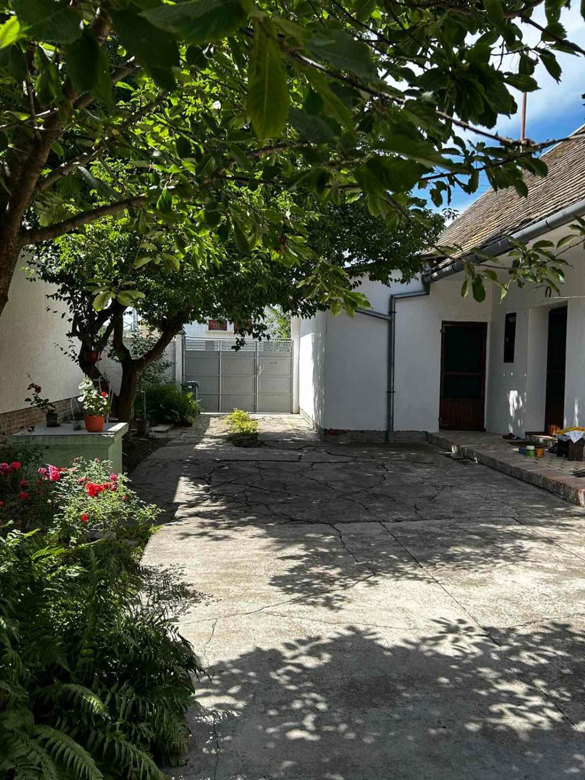 Oaza Mira Porodicna Kuca Za Opustanje Vila Apatin Exterior foto
