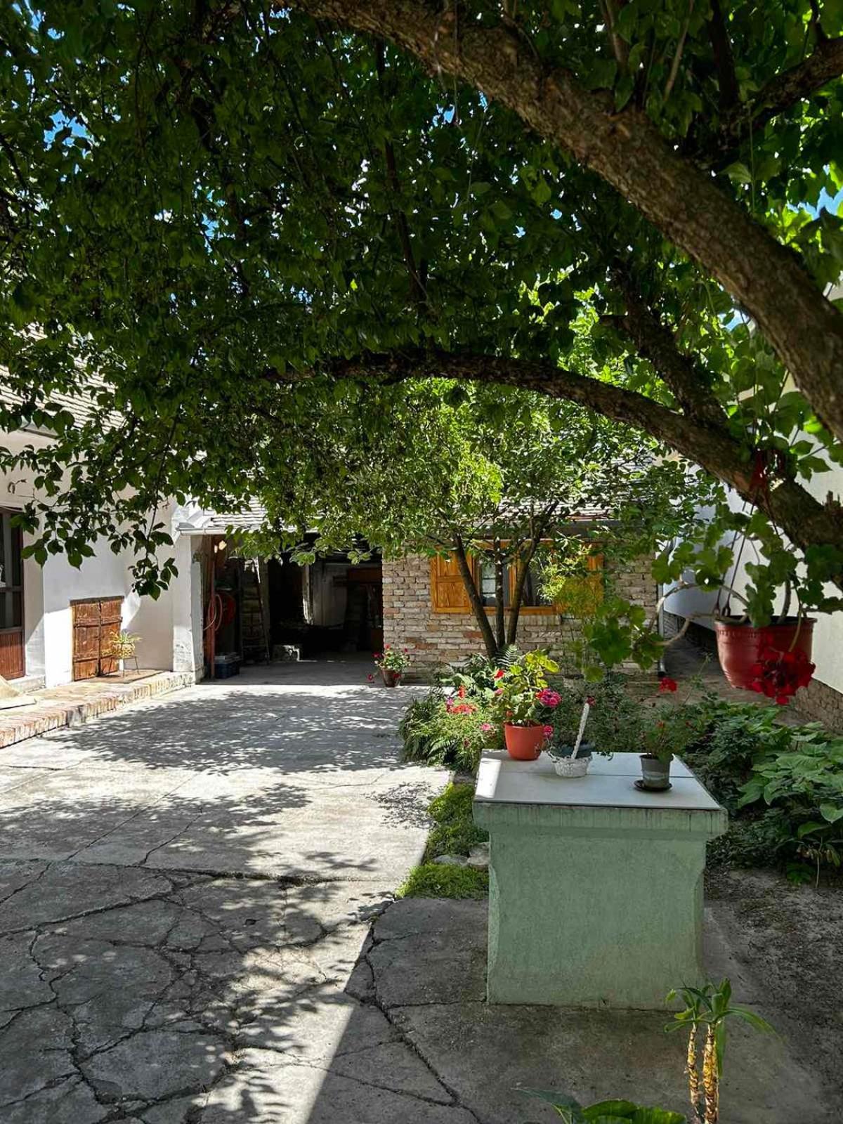 Oaza Mira Porodicna Kuca Za Opustanje Vila Apatin Exterior foto